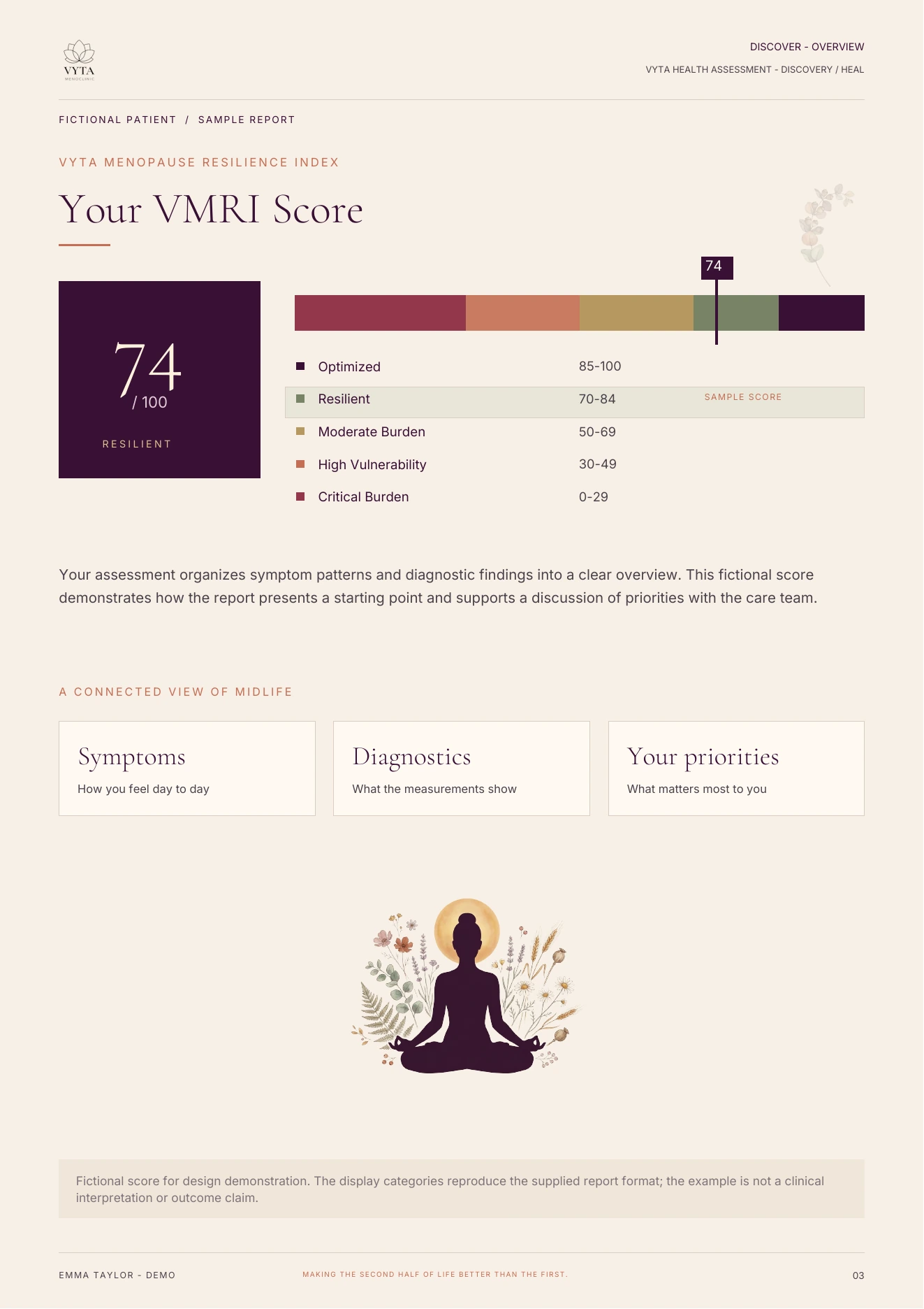 Fictional VMRI score of 74 with the report’s resilience bands.